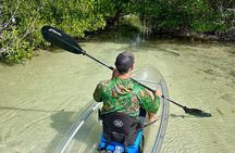 Sarasota Clear Kayak Tour