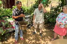 Coffee and Clay Cultural Tour