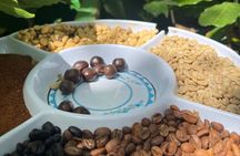 Coffee and Clay Cultural Tour