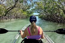 Sarasota Clear Kayak Tour