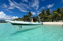 Full Day Tour to Saona Island in Private Boat
