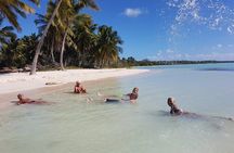 Full Day Tour to Saona Island in Private Boat