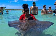 Stingray City Experience Antigua - Cruise Ship Passengers Edition