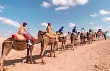 Marrakech: Agafay Desert - Camel Ride and Dinner Show