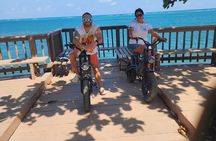Mangrove Tunnel, E-Bike Adventure, Food Tasting & Beach daypass 