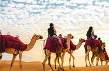 "Doha Desert : Safari, Sandboarding, Camel Ride & Inland Sea"