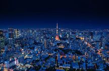 Tokyo Night Adventure with Skyline Views 