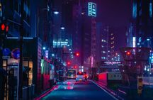 Tokyo Night Adventure with Skyline Views 