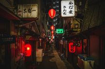Tokyo Night Adventure with Skyline Views 