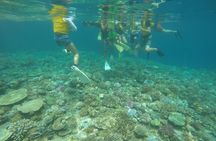 Day Trip to Minna Island Beach with Snorkeling Options