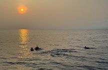 Sustainable Dolphin Watching in Pemuteran