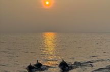 Sustainable Dolphin Watching in Pemuteran
