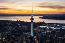 Auckland Sightseeing Tour—Private Full Day/Half Day Driver+Tesla