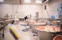 Bologna Full Day Food Factory Tour and Wine Tasting