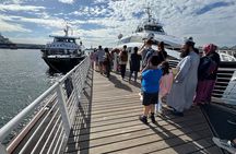 Cape Town: Robben Island Tour: Pre-Booked Ticket and Transfers