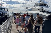 Cape Town: Robben Island Tour: Pre-Booked Ticket and Transfers