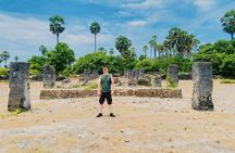 Full Day Tour Delft and Nainativu Island Adventure from Jaffna 