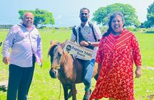 Full Day Tour Delft and Nainativu Island Adventure from Jaffna 