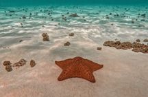 Snorkel in Paradise Cozumel El Cielito Palancar Reef Colombia