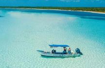 Snorkel in Paradise Cozumel El Cielito Palancar Reef Colombia