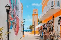 Snorkel in Paradise Cozumel El Cielito Palancar Reef Colombia