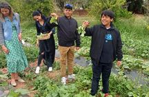 Best Farm-to-Table Moroccan Cooking Class Experience in Marrakech