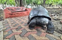 Stone Town,Spice Tour&Prison Island Private Tour 