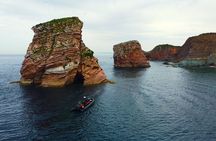 Explore the Wild Beauty of the Basque Coast by Boat