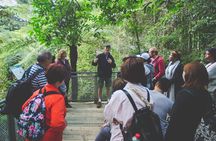 Blue Mountains Day Tour with Wildlife, Walks and Scenic World