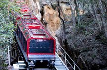 Blue Mountains Day Tour with Wildlife, Walks and Scenic World