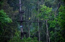 Nha Trang Zipline Canopy Adventure – Jungle Flight Experience