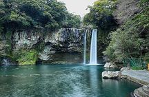 Jeju UNESCO Join in tour(Taxi, mini bus & bus)