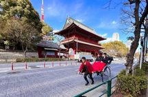 Tokyo Tower Adventure 60 Minute Scenic Rickshaw Ride