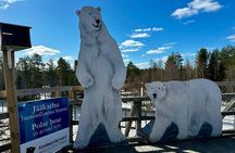 From Rovaniemi: Tour to Ranua Zoo+Lunch