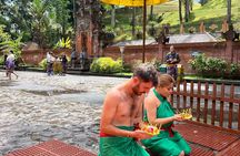 Ubud Private Chasing Waterfall and Water Temple Tour