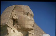 Cairo Trip Pyramids & Egyptian Museum by Bus from Sharm El Sheikh