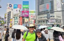 Best of Tokyo Private Tour for Yokohama Cruise Passengers