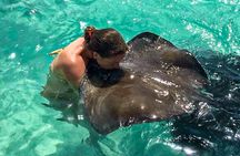 4h Antigua Must-Do: Stingray City & Long Bay Beach