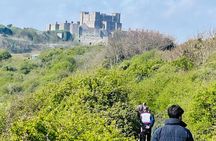 From London White Cliffs of Dover and Canterbury Private Day Trip