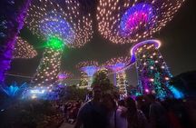Singapore River Cruise and 2 Must-see Water Light Shows 