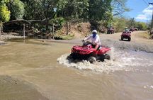 3 Hours Flamingo Beach ATV Tour 