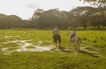 Half Day Private Guanacaste Horseback and Farm Tour