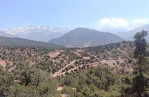 Atlas Mountains and 5 Valleys Day Tour with Lunch From Marrakech