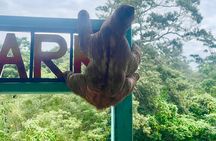 Monkeys and sloths, private tour , and beach