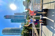Fort Lauderdale Segway Tour