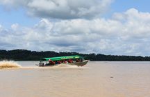 6-day Tour in the Amazon Rainforest at Curassow Amazon Lodge