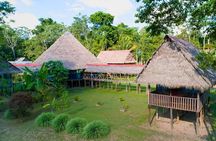6-day Tour in the Amazon Rainforest at Curassow Amazon Lodge