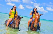 Horseback Ride and Swim Experience Montego with Transportation