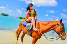 Horseback Ride and Swim Experience Montego with Transportation