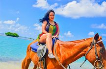 Horseback Ride and Swim Experience Montego with Transportation